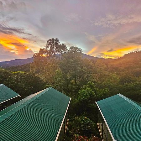 보케테 Eco Horqueta B&B 외부 사진